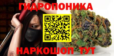 стаф Шахты