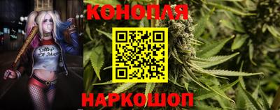 сатива Шелехов