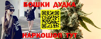 стаф Шахты