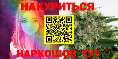 стаф Шахты